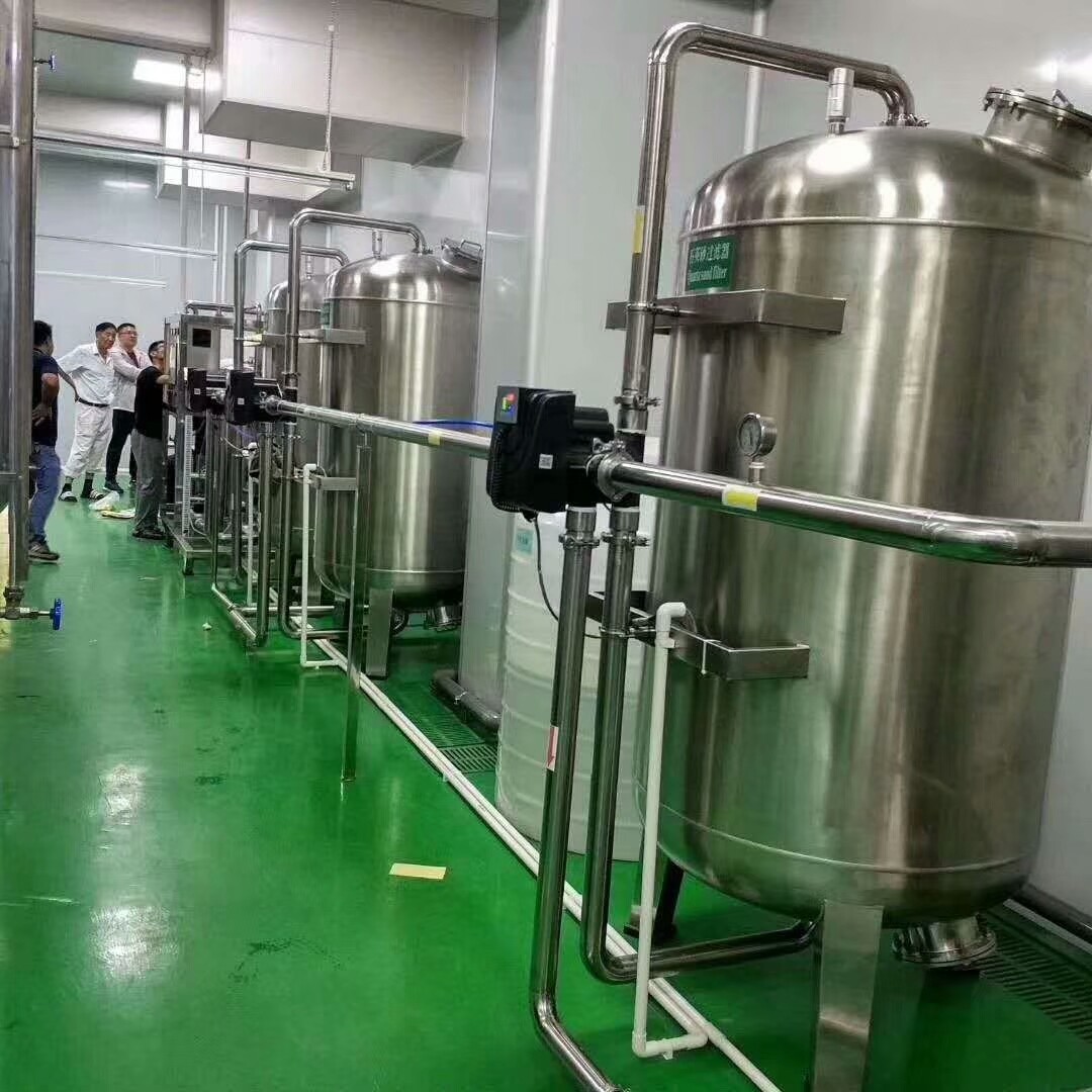 China RO Water Treatment System for Food Processing Use Water wholesale