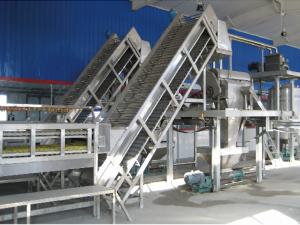 China Non Concentrated Mango Juice Processing Line 10Tone Per Hour For Africa wholesale
