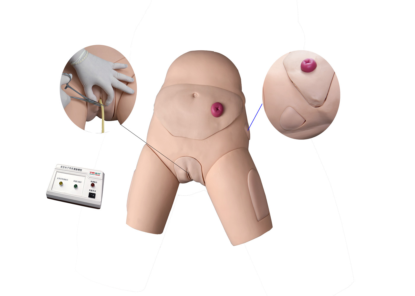 China Electronic Urethral Catheterization and Enema Training Simulator wholesale