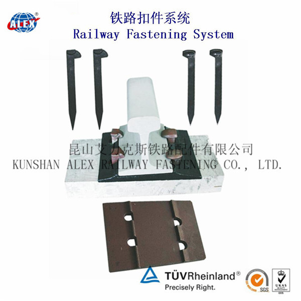 China Dog Spike Railway Fastener System for Railroad wholesale