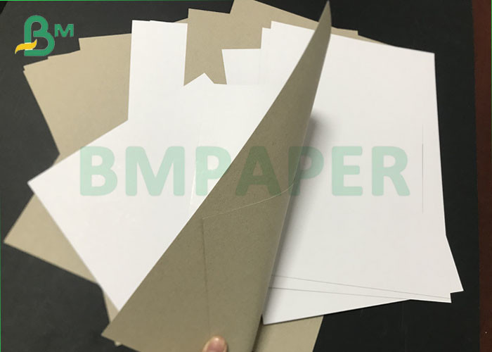 China Jumbo rolls CCNB Claycoat 300gsm 450gsm Duplex Paper Board for packing wholesale