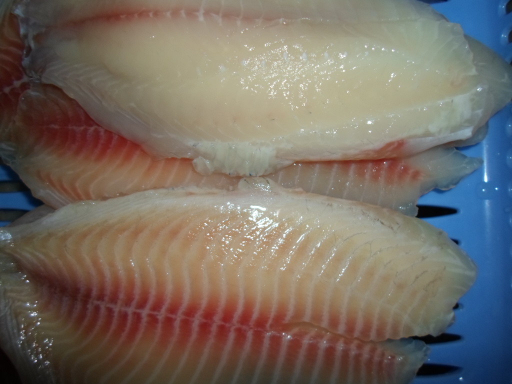 China Healthy Pure Fresh Boneless Frozen Tilapia Fish , Frozen Tilapia Fillets wholesale