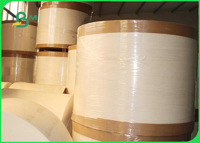 China 190g 210g PLA Coated Cupstock Paper For Coffee 100% Biodegradable Disposable wholesale