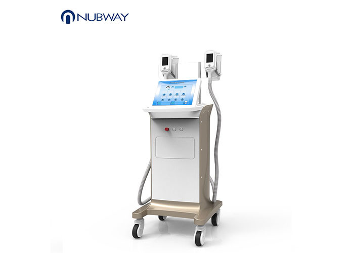 Quality Painless Freeze Fat Burning Machine , Professional Cellulite Treatment Machine for sale