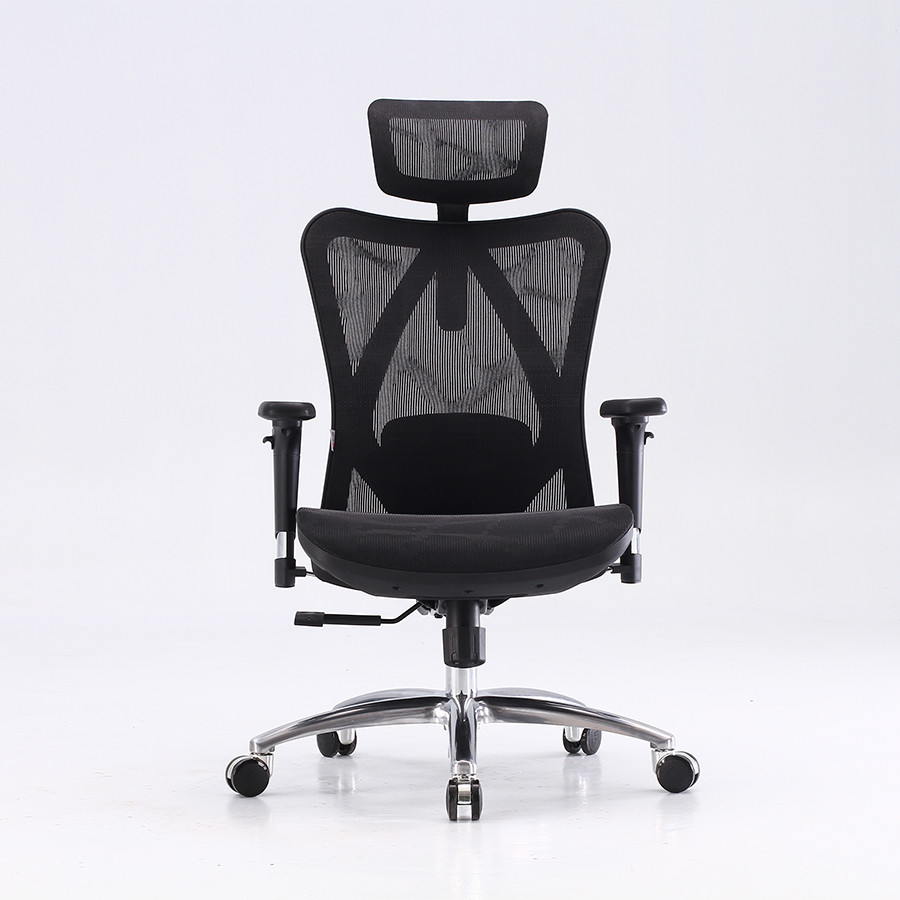 China 350 Alu Alloy Foot Ergo Swivel Mesh Office Chair With Headrest 62*63*106cm wholesale