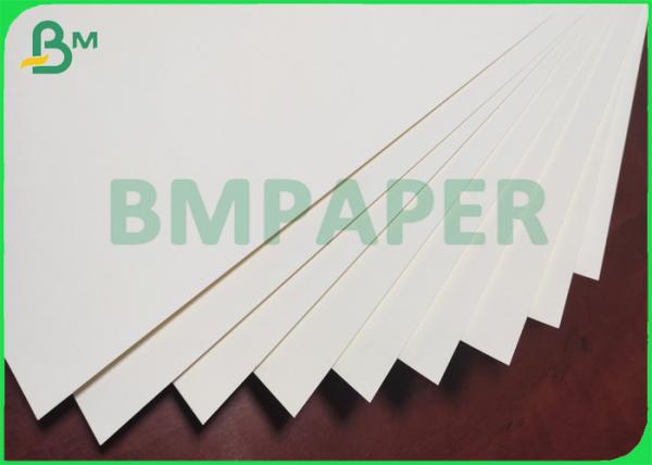 280gsm Poly Coated Cup Paper Material Single Or Double Poly Coating