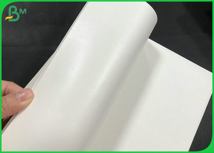 China Single Side PE Coating 150gsm To 300gsm Cup Paper Rolls for Drinking cup wholesale