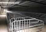 SS304 Piggery Pregnancy Sow Gestation Stalls Swine Farrowing Crates