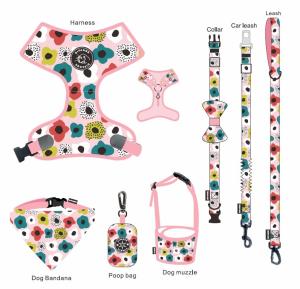 China Custom Logo Collar Leash Harness Set Polyester Dog Harness Leash wholesale