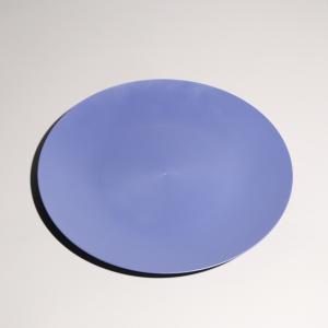 Customized Logo Printed BPA Free Round Plastic Food Tray