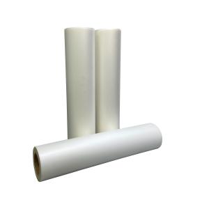 China A3 Dtf Pet Film Printer 13inch 24inch Heat Transfer Clothing wholesale