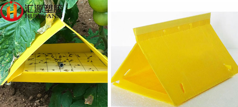 Non Toxic Glossy 3000gsm Yellow 4x8 Coroplast Sheets