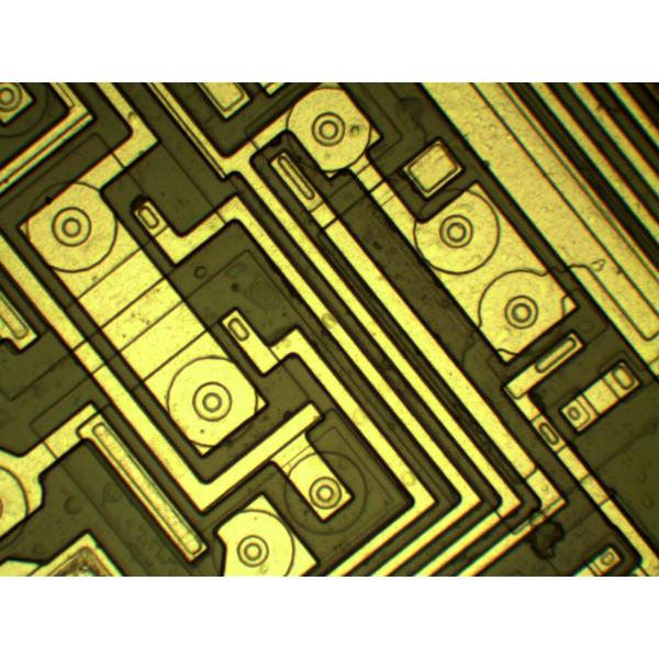100X Objective High Power Microscope , Reflected Light Microscopy WF10X / 18mm