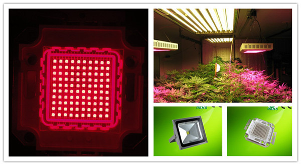 Dongguan Hongke Main Products 100W High Power LED Chip (3).jpg