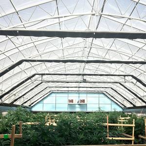 China Agricultural Curtain Fabric Blackout Greenhouse Automatic Control Light Deprivation Greenhouse wholesale