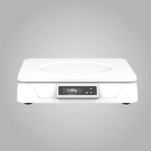 China Flexible C1 Data Transmission Digital Meat Scale Waterproof Moisture Proof wholesale