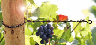 Bed Support Agriculture Polyester Wire Anti UV 730 CN/Dtex Alkali Resistant