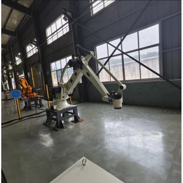 Mechanical Robotic Picking Arm 380V Case Palletizing Robot Green