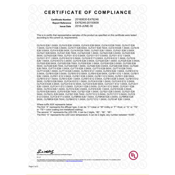 IP65 Waterproof LED ETL Connectable Christmas Lights Decoration Wedding Party Garden Lights S14 Outdoor Festoon String Lights