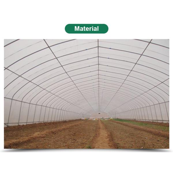 Film Cover Material Hot-dipped Galvanized Frame Agricultural Greenhouse in 6m/8m/10m/12m