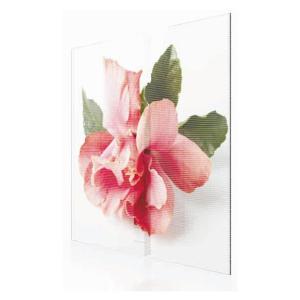 China glass wall transparent screen EXCEL LED wholesale