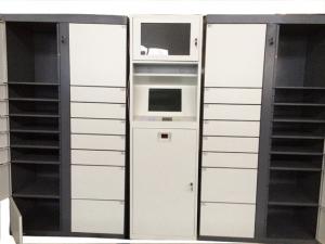 China Electronic Smart Parcel Delivery Lockers for University Online Shopping Delivery wholesale