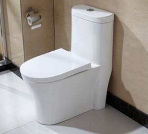 China 10 Inch Rough In One Piece Elongated Toilet Dual Flush Wall Mounted on sale