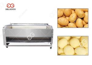 China Potato Carrot Washing And Peeling Two In One Machine Small Scale on sale