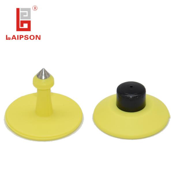 Quality 28mm Plastic Pig Ear Tags Seal Head Number Bar Code Print Insurance Use for sale
