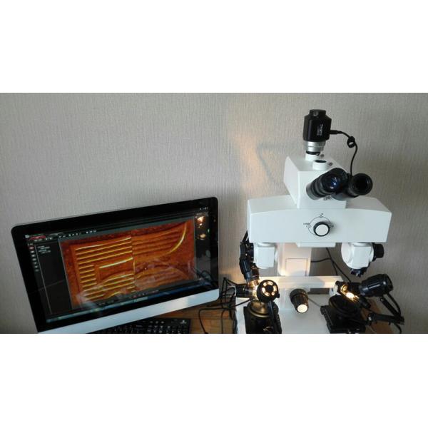 OPTO-EDU 3.2x - 192x Binocular Forensic Comparison Microscope with LED Illumination for Student and School Applications