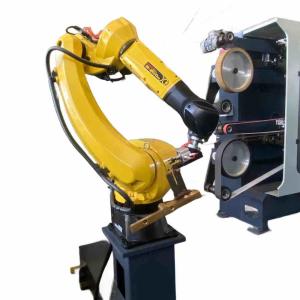 China FANUC Robotic Grinding Cell For Hardware Grinding wholesale