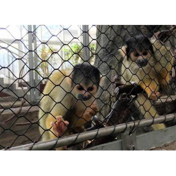 Bird Rain Forest Stainless Steel Zoo Wire Mesh Custom Width