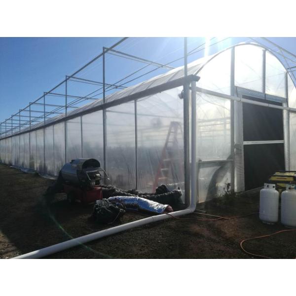 Vegetable Agriculture Polyethylene Film Greenhouse Great Space Efficient Performance