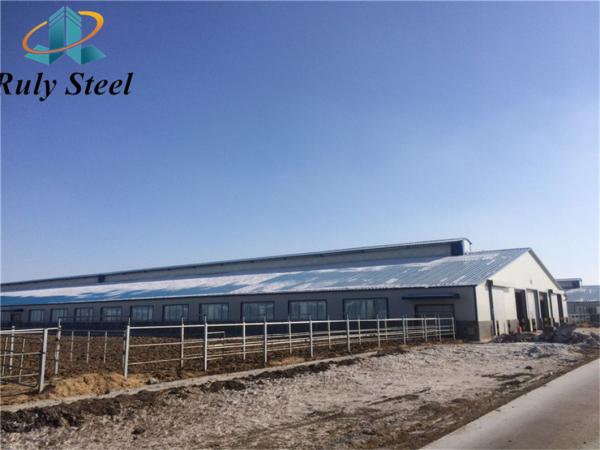 Quality Large Span Steel Poultry House Prefab House Building Construction for sale
