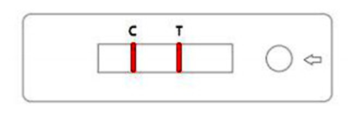 Fast Safety Coronavirus Antigen Detection Kit Saliva Antigen Test Kit Coloidal Gold