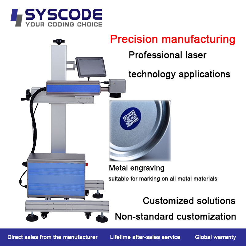 China Production Line Integrated Laser Coder wholesale
