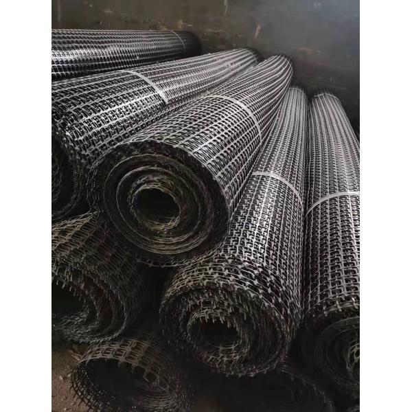 Highway Maintenance Black and White Grass Net Mat with Stable Biaxial Plastic Geogrid