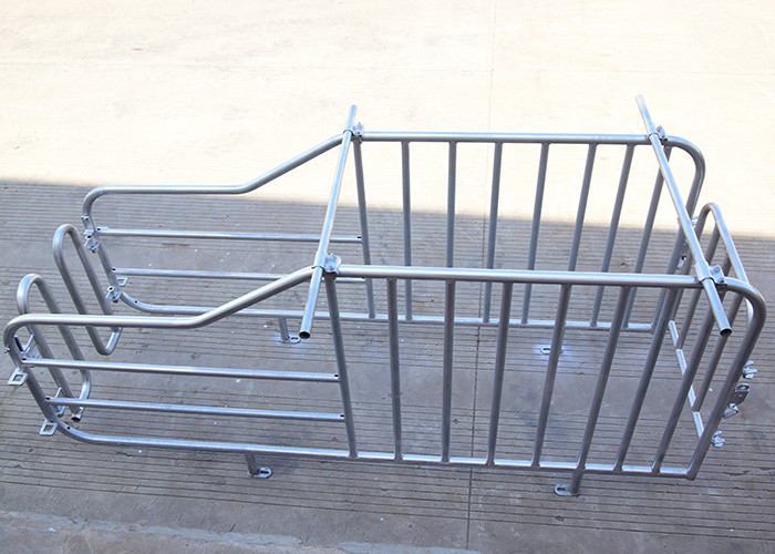 OEM ODM Piggery Farm Equipment Gestation Pens For Sows Rear Door Design