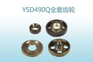 Custom CW2 40Cr Diesel Engine Timing Gears Set 50cm Dia Multi Cylinder Machine