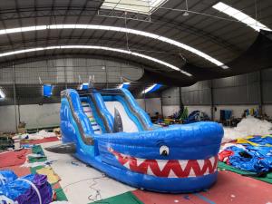 China Blue Shark Giant Inflatable Slide UV - Resistance Digital Printing wholesale