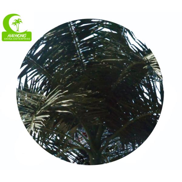 Royal 15m Artificial Coconut Palm Trees For Outdoor And Indoor