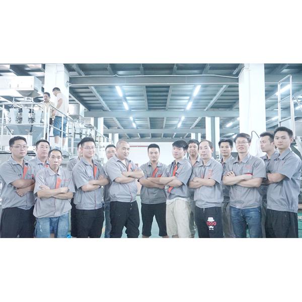 Automatic Four Sealing VFFS Packing Machine for Chocolate Dry Food