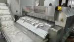 2000KG/H 2200KG/H Liquid Nitrogen Iqf Tunnel Freezer Oem