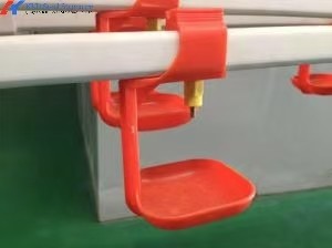 OEM ODM Broiler Poultry Equipment Customized Broiler Pan Feeder