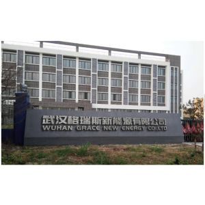 WUHAN GRACE NEW ENERGY CO., LTD.