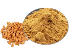 China 99% Herbal Extract Anti Tumor Peach Kernel Powder on sale
