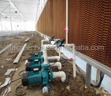 Multi Span Agriculture Greenhouse Height 3m Customized Length 50m