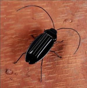 China Bug/ Mini Roach Solar Toy /mini Solar Cockroach /roach wholesale