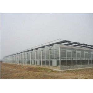 China Agriculture Clear Polycarbonate Greenhouse Good Heat Preservation Effect wholesale