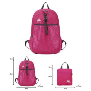 Buy cheap simple backpack Folding bag from wholesalers